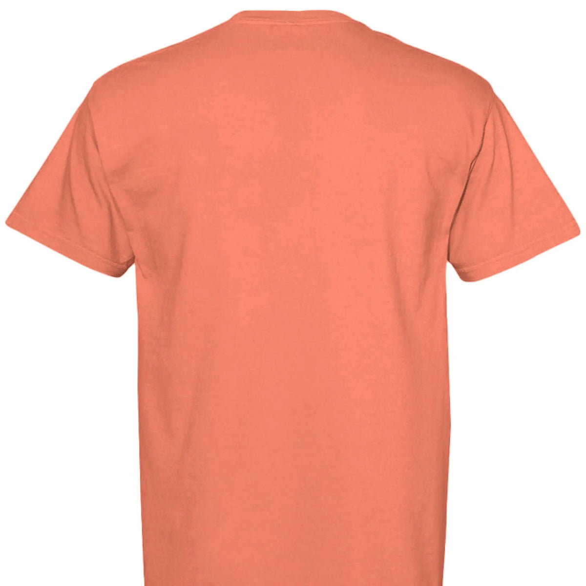 Jesus Paid It All Unisex T Shirt on Comfort Colors by Knitted Grace Boutique