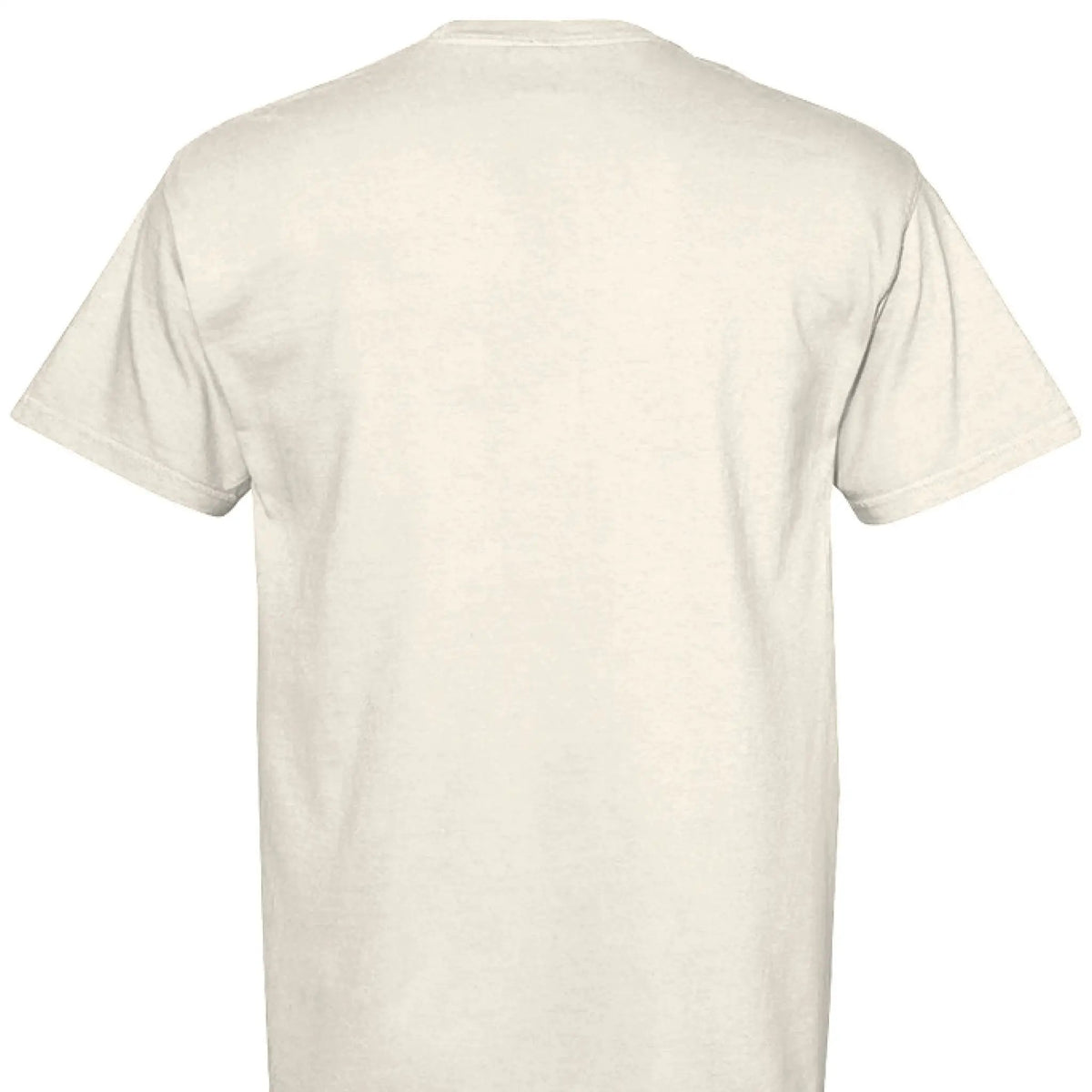Jesus Paid It All Unisex T Shirt on Comfort Colors by Knitted Grace Boutique