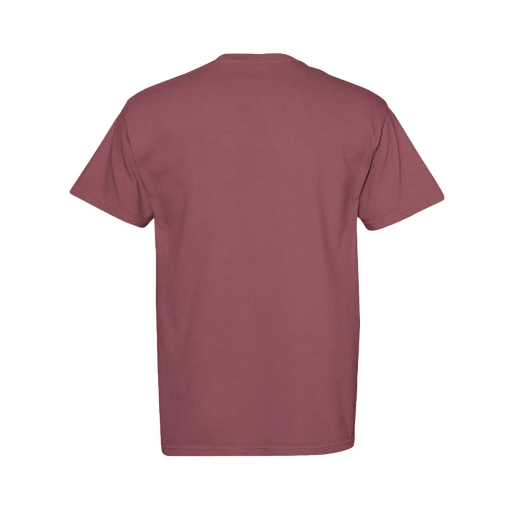 Team Apple Cider Unisex Premium Comfort Cotton Vintage Graphic Tee by Knitted Grace Boutique